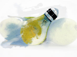 Gl&uuml;hbirne oder echte Birne